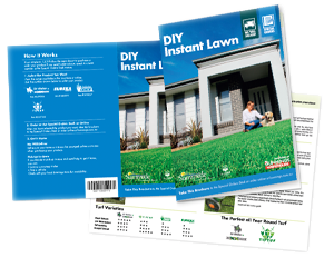 Image of printed flyers