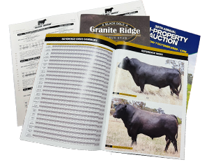 Image of printed stud catalogues